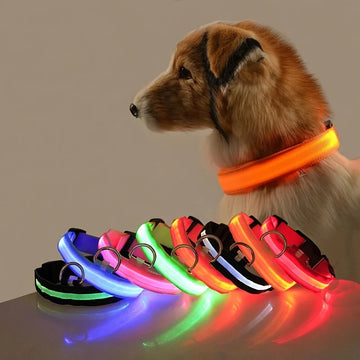 LED Glow in the Dark Luminous Night Safety Collar for Pet Dogs
